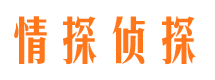 舞钢市私家侦探